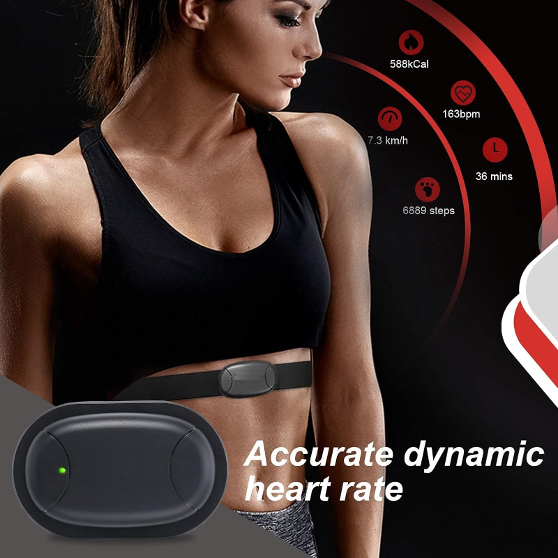 Rechargeable Heart Rate Monitor Chest Strap 5.3 kHz/Bluetooth 5.0/ANT