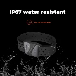 Heart Rate Monitor Armband HW807