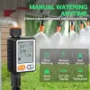 Sprinkler Timer