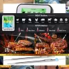 Dual Probe Digital Meat Thermometer